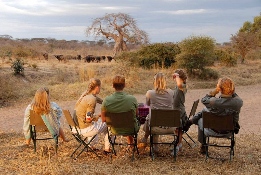Family safari adventure